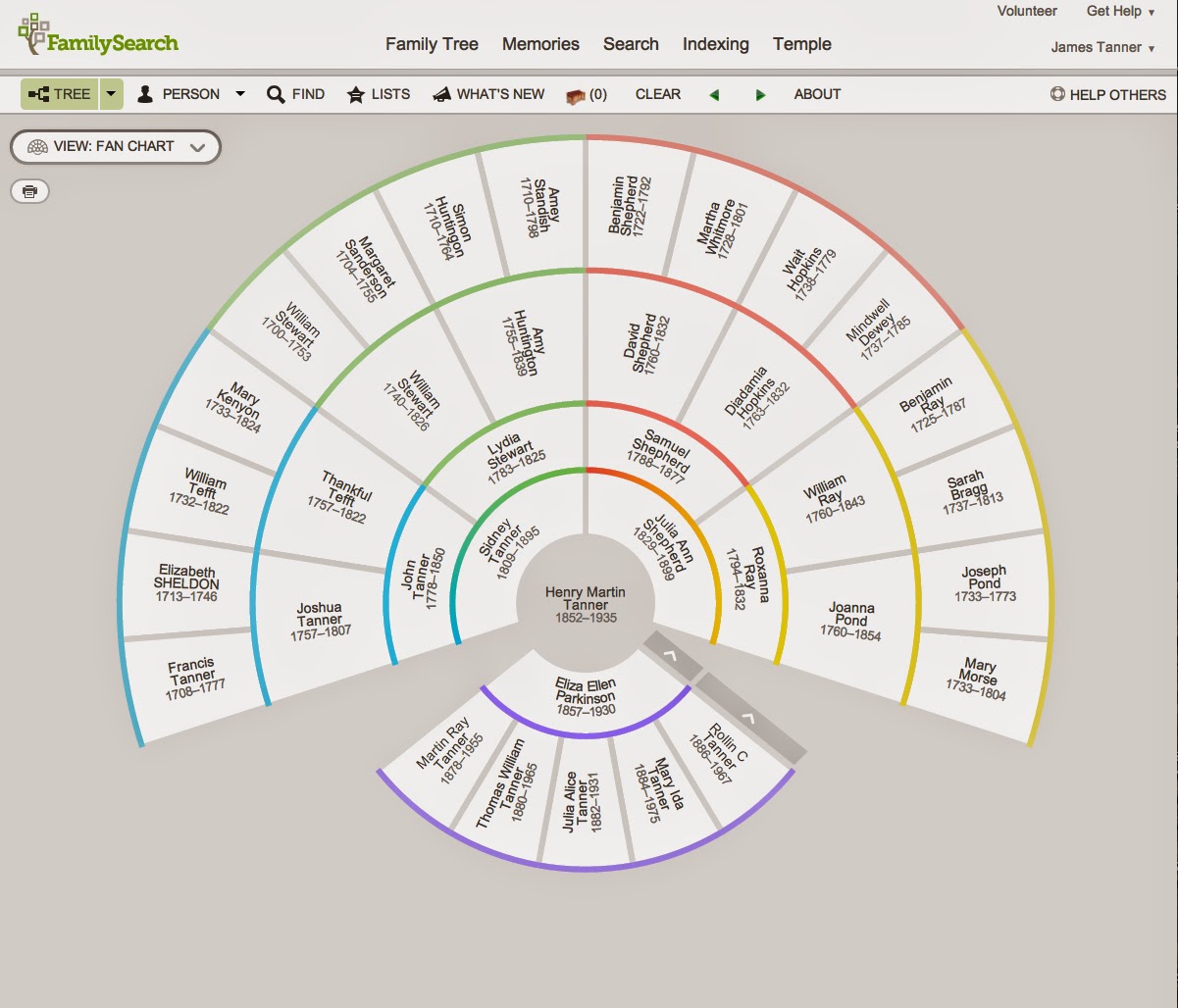 views in family tree 5