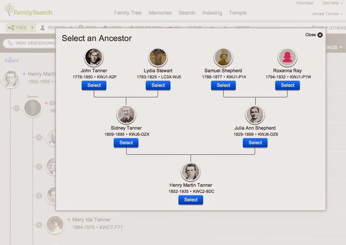 views in family tree 9